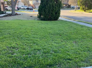 Bart T.'s Lawn Mowing Service service result