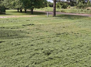Bruce W.'s Lawn Mowing service result