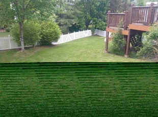 Mark A.'s Lawn Mowing service result