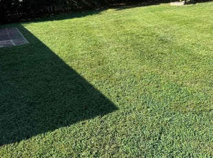 Paula S.'s Yard Cutting service result