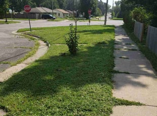 Lashanta M.'s Lawn Mowing service result