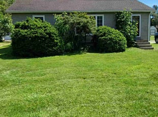 Bush Trimming by Dale Zawicki for Ashley R. in Strongsville, OH