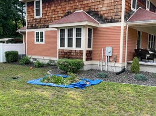 Bush Trimming by Terrance Robinson for Earl B. in Springfield, MA