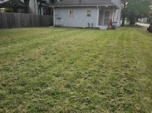 Keomany T.'s Lawn Care service result