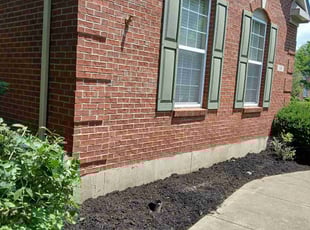 Mulching by Latoya Jackson for Bola S. in Springboro, OH
