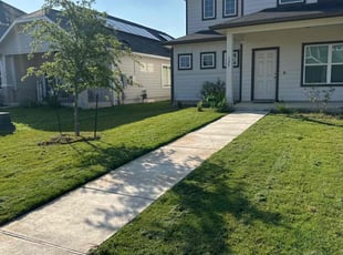 Sandy D.'s Lawn Mowing service result