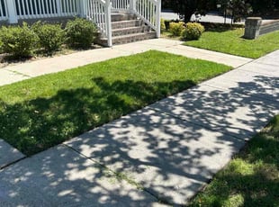 Helen M.'s Lawn Mowing service result