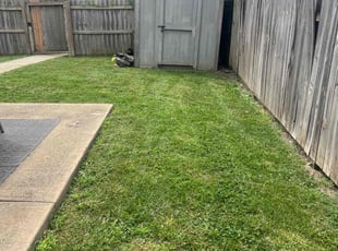 Beth T.'s Lawn Service service result