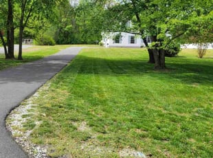 Ivy S.'s Lawn Service service result