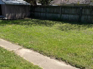 Cheyenne S.'s Yard Cutting service result