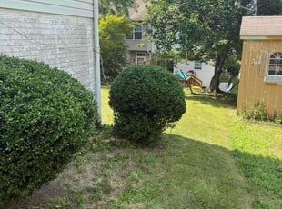 Bush Trimming by Joel Dickerson for Jeremy K. in Odenton, MD