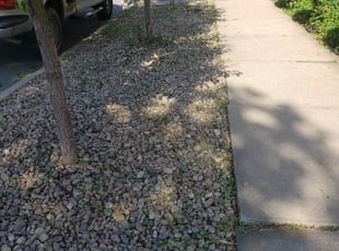 Cleanups by Julian Martinez for Dan S. in Denver, CO