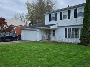Eliza S.'s Lawn Service service result