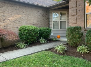 Weeding by Jeremy Whetstine for Caroline K. in Lexington, KY