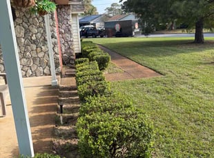 Christine H.'s Lawn Mowing Service service result