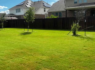 Geoff T.'s Lawn Mowing service result