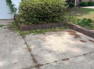 Bush Trimming by Joseph Clark for Maritza F. in Fayetteville, NC