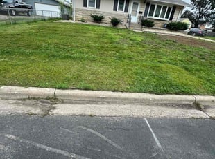 Kiana A.'s Lawn Service service result