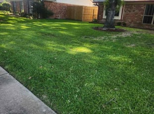 Steve A.'s Lawn Maintenance service result