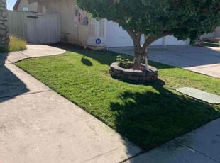 Lorraine A.'s Lawn Mowing service result