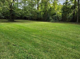Christian L.'s Lawn Mowing service result