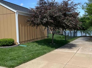 David E.'s Lawn Mowing Service service result