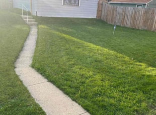 Suzuanna B.'s Grass Cutting service result