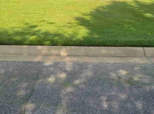 Connie L.'s Grass Cutting service result