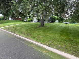 Gregg G.'s Lawn Maintenance service result