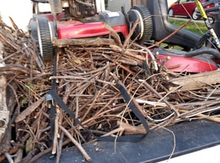 Cleanups by Christopher Johnson for Reylynn F. in Mission, KS