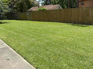 Sara R.'s Lawn Mowing service result