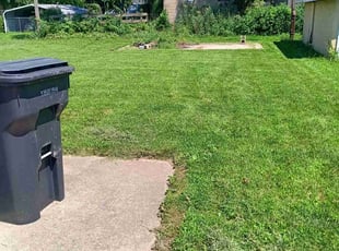 yasmeen e.'s Yard Cutting service result
