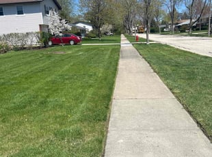 Tim M.'s Lawn Service service result