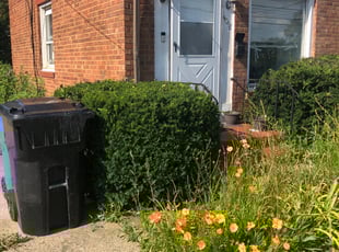 Bush Trimming by Demetrius Bennett Jr for Camille K. in Cleveland, OH