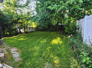 Tony P.'s Lawn Care service result