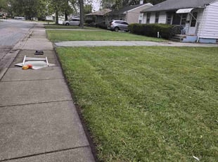 Erik E.'s Lawn Mowing Service service result