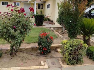 Cleanups by Ryan Gault for Maria B. in Clovis, CA