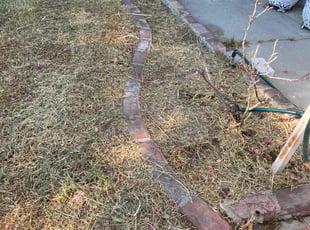 Weeding by Christian Perez for Lane L. in Azusa, CA
