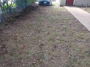 Leaf Removal by David Gallaway for Japheth D. in Saint Paul, MN