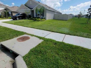 Michele M.'s Lawn Mowing Service service result
