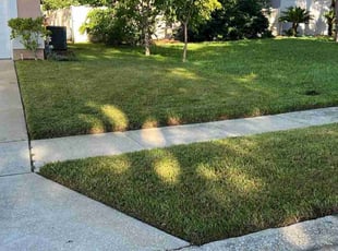 John B.'s Yard Cutting service result
