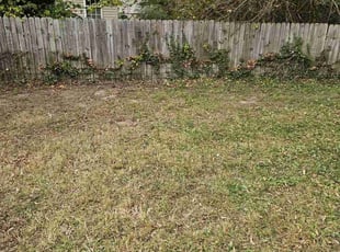 Leaf Removal by Terrence Hawkins for Nikki C. in Riverdale Park, MD