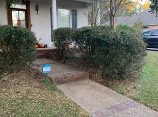 Bush Trimming by Torrance Moton for Jessica S. in Zachary, LA