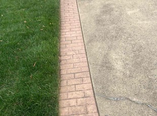 Jennie F.'s Lawn Mowing service result