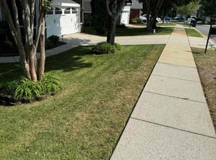 John B.'s Lawn Care service result