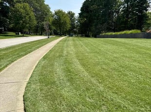 Martin H.'s Lawn Care service result