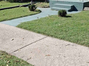 shazeen f.'s Lawn Service service result