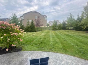Enrique P.'s Lawn Care service result