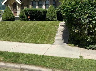 Robert J.'s Lawn Mowing service result