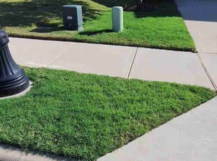 Norma R.'s Lawn Care service result